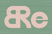 FlyBridge - Bold Ligature Rich Sans, a Sans Serif Font by SilverStag Type Foundry (Thumbnail 14 of 30)