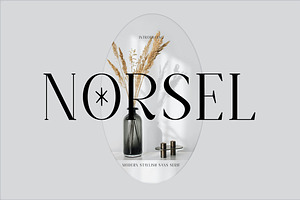 Norsel - Elegant Serif