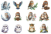 Watercolor Owl Clipart, an Illustration by Designworld (Thumbnail 3 of 5)