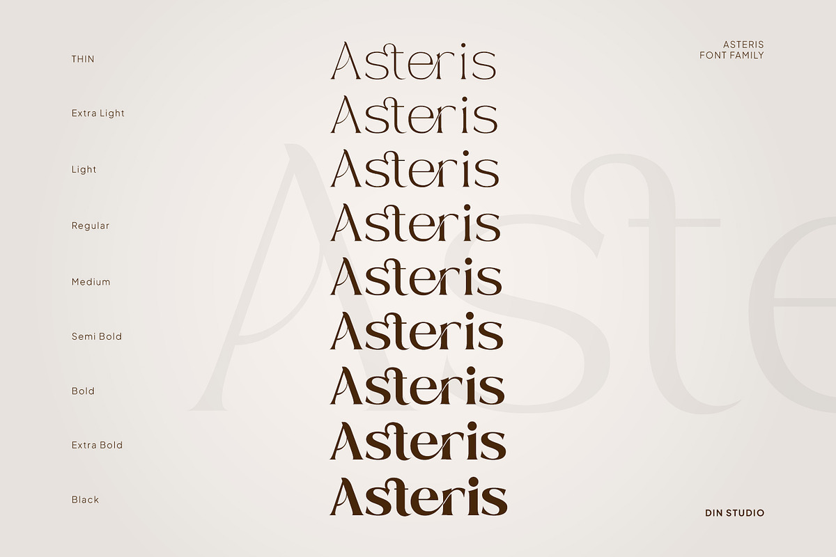 Asteris, a Serif Font by din-studio.com (Photo 5 of 11)