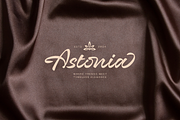 Almonia Blonde – Beautiful Script, a Script Font by Sronstudio (Thumbnail 7 of 17)