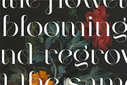 Mogen Serif Font, a Serif Font by Letteralle Studios (Thumbnail 6 of 11)