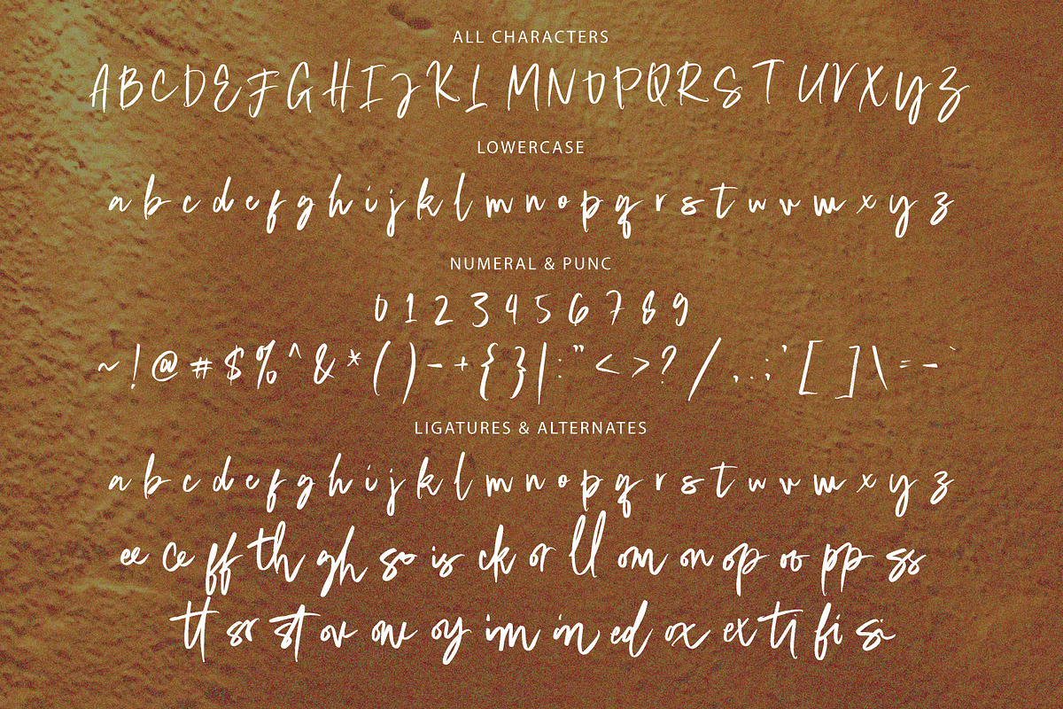 Staqila Signature, a Handwritten Font by Eltypesstudio (Photo 8 of 11)