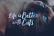 Wolesbro, a Script Font by Locomotype (Thumbnail 3 of 7)