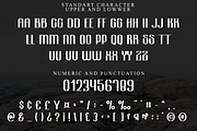 Sandiest, a Script Font by InermediaSTUDIO (Thumbnail 6 of 8)