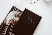 Desert Song | Calligraphy Script, a Script Font by Calamar Studio (Thumbnail 13 of 14)