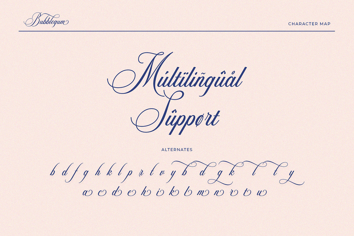 Bubblegum – Modern Classy Script, a Script Font by BrandSemut (Photo 9 of 10)