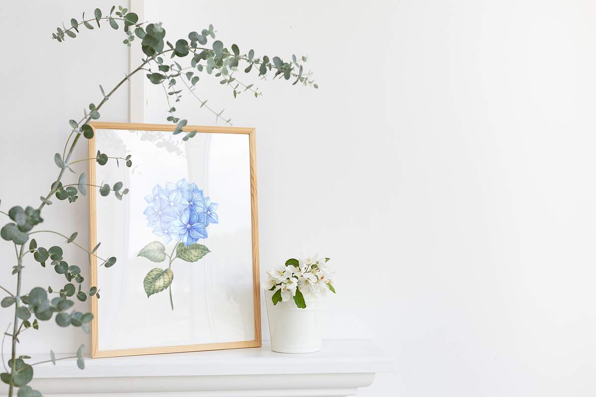 Watercolor Clipart Hydrangea flowers, a Decorative Illustration by Kotkoa (Photo 10 of 12)