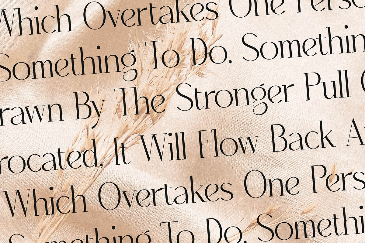 Qenliago Modern Serif Font, a Serif Font by Storytype Studio (Photo 11 of 15)