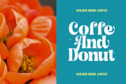 Shyne Roska Groovy Retro Serif, a Serif Font by timelesstype.co (Thumbnail 13 of 20)