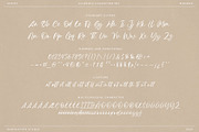 Allendia Modern Script Font, a Script Font by RantautypeStudio (Thumbnail 15 of 15)