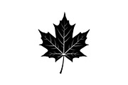 Maple Leaf Silhouette Bundle, a Graphic by musafir_fashion (Thumbnail 3 of 10)
