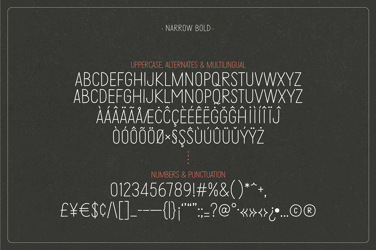 Outer Limits - Skinny Display Font, a Font by Idle Letters (Photo 10 of 16)