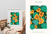 Nasturtium summer flowers clipart, a Decorative Illustration by Harmony Draws (Thumbnail 7 of 8)