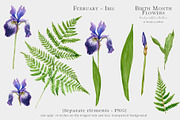 Watercolor Iris Birth Flower Clipart, an Illustration by Ksenia Shmakova (Thumbnail 4 of 6)