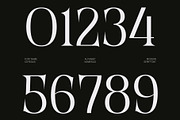 CS Regus – Modern Serif Font, a Serif Font by Craft Supply Co. (Thumbnail 7 of 8)