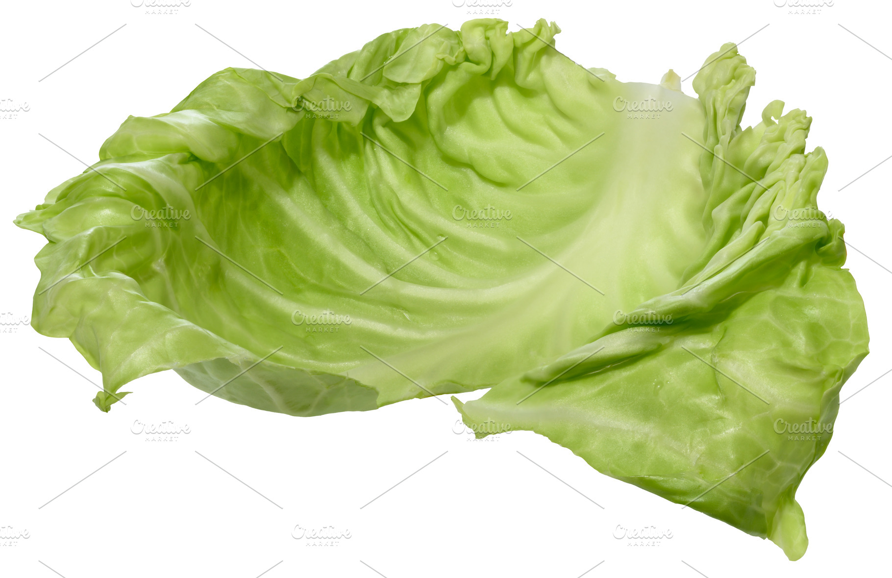 Fresh green cabbage leaf on isolated background, a Food & Drink Photo by ndanko