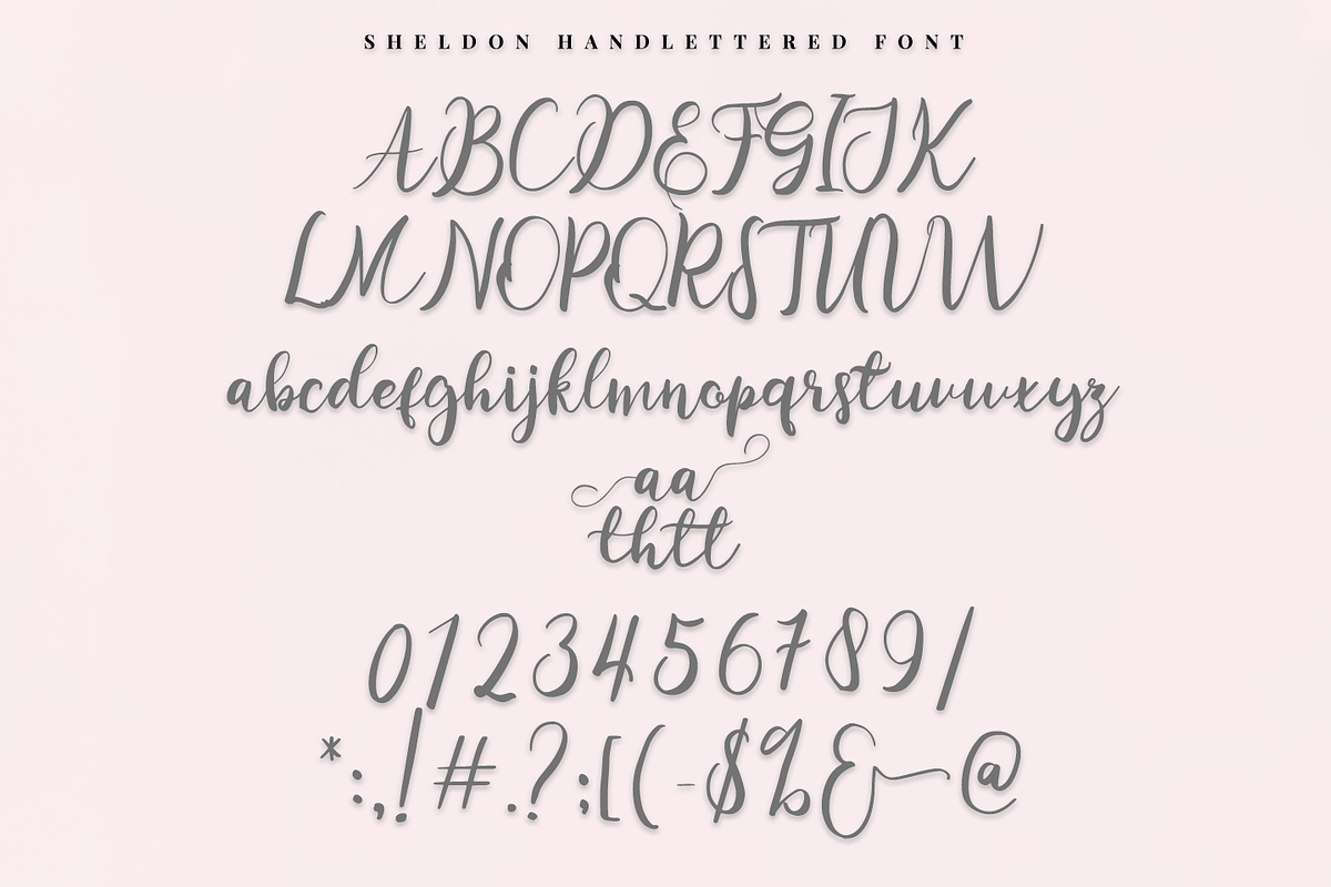 sheldon - script font preview 5