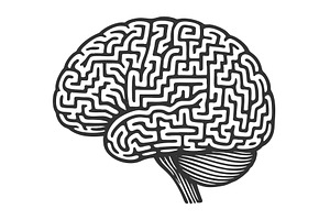 Maze Pattern Brain Symbolizing, a Healthcare Illustration by AlexArt