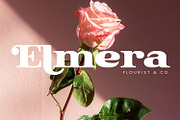 Collonie, a Serif Font by yumnatype (Thumbnail 3 of 10)
