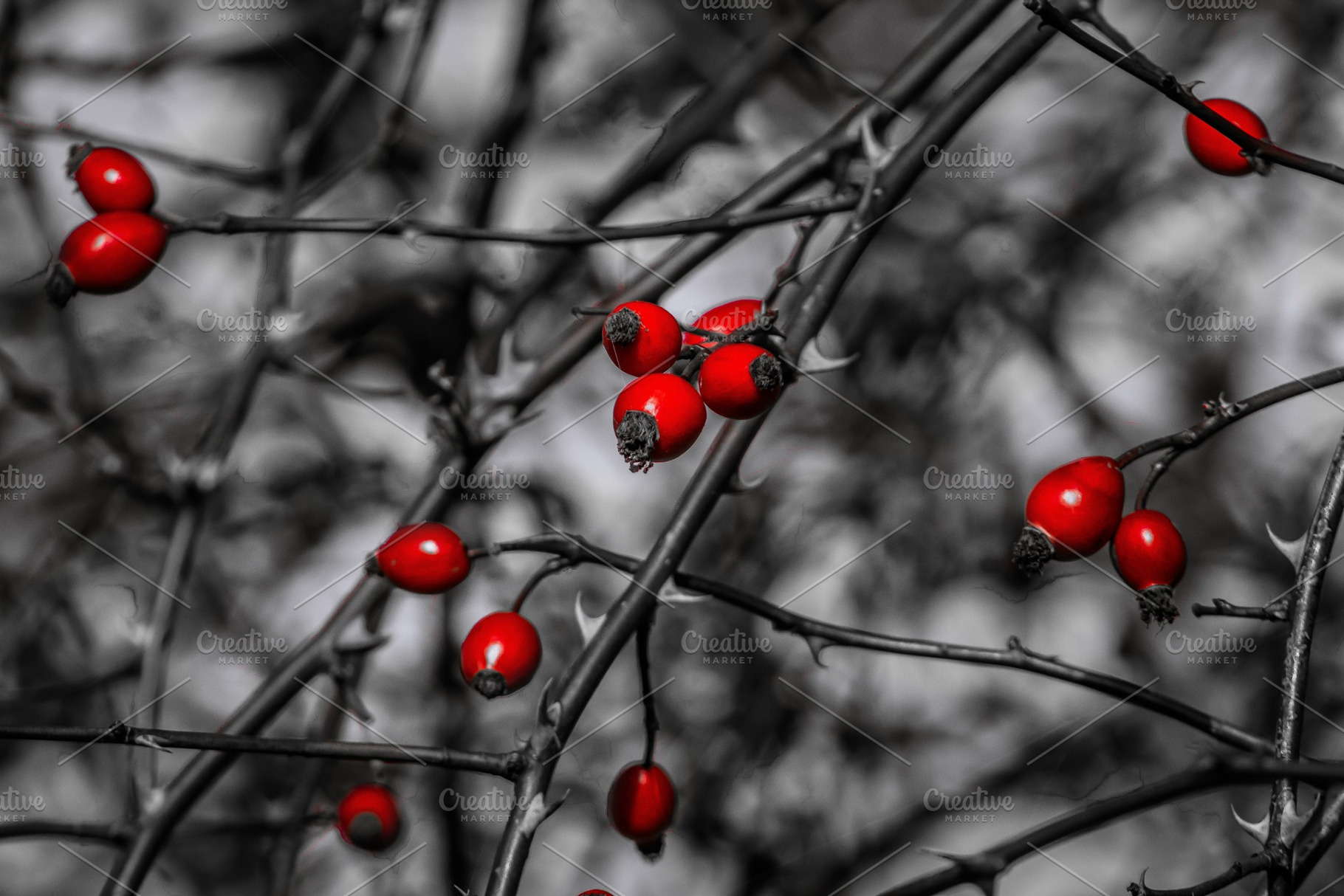 The Magic of Autumn #8, a Nature Photo by jakub_kopecky