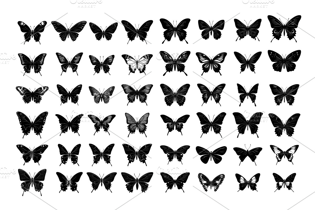 Butterflies black ink sketch vector, an Object Illustration by Onyx