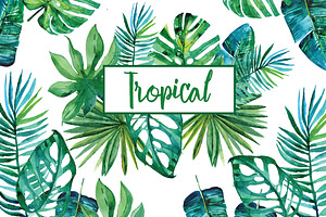 Watercolor tropical leaves, an Illustration by Olesya Morokhovets
