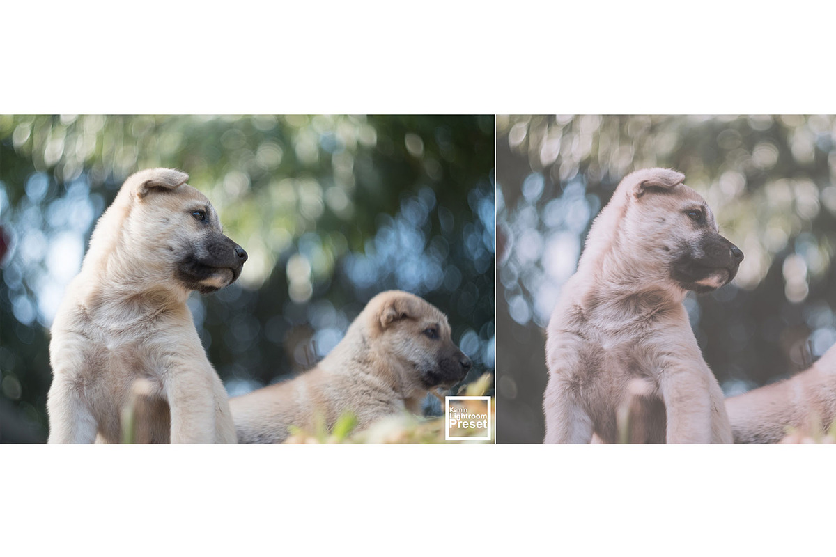 Kamin Japan Mood 1, an Action Add-On by Kamin Lightroom Preset (Photo 4 of 22)