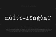 Merchant Ledger - Typewriter Family, a Serif Font by Twinbrush (Thumbnail 5 of 20)