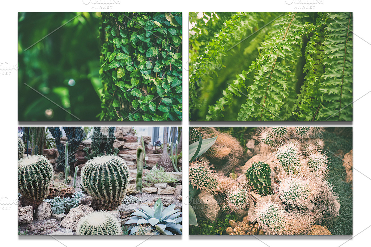 Botanical background bundle 20 jpg, a Nature Photo by WildStrawberry Magic (Photo 6 of 6)