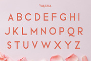 Vallessa, a Sans Serif Font by edcreative (Thumbnail 3 of 9)