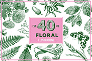 Floral Vintage Vector Illustrations, an Education Illustration by hypegraphic (Thumbnail 1 of 4)
