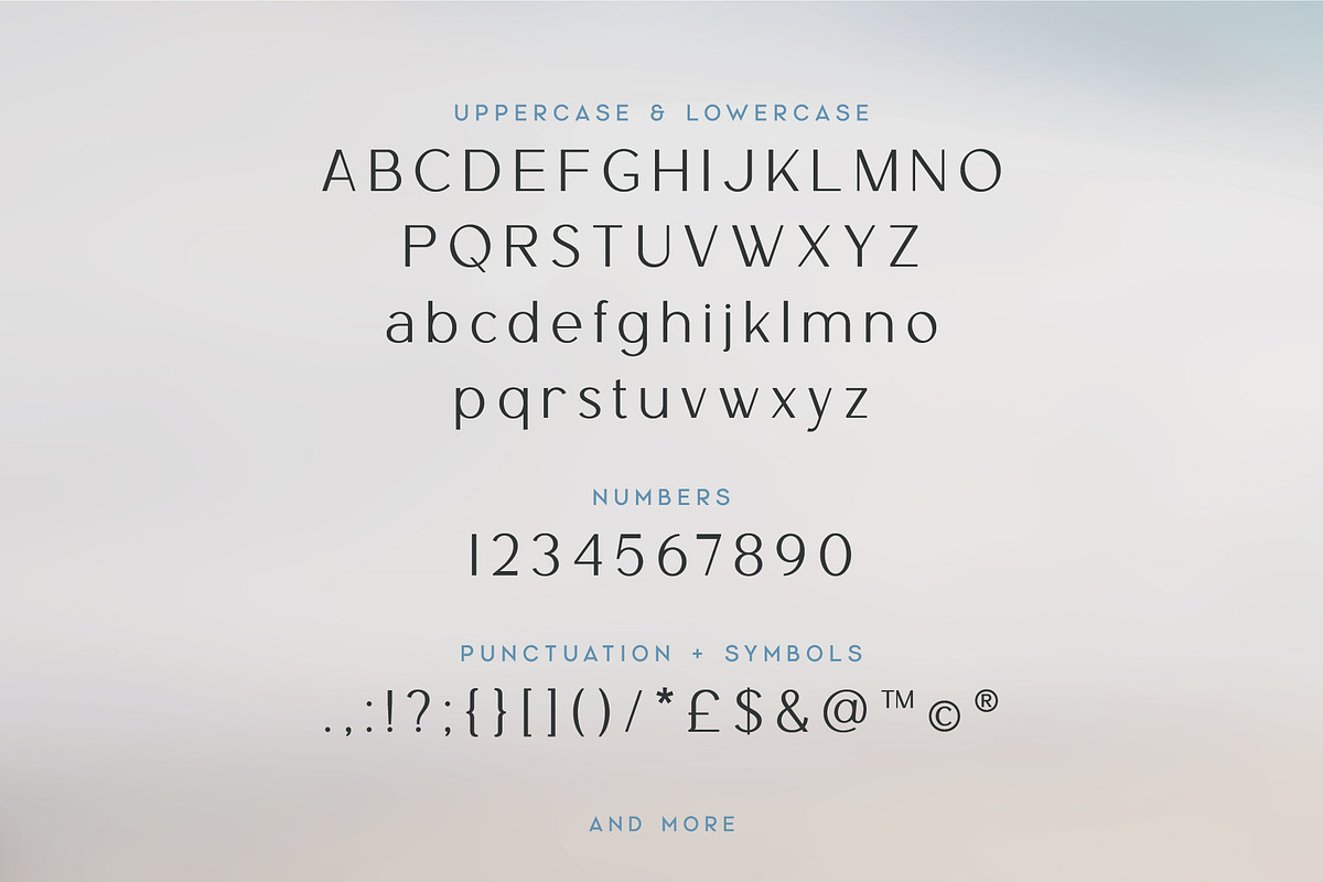 Tiree - An Elegant Sans Serif, a Sans Serif Font by Thistle Type (Photo 3 of 9)