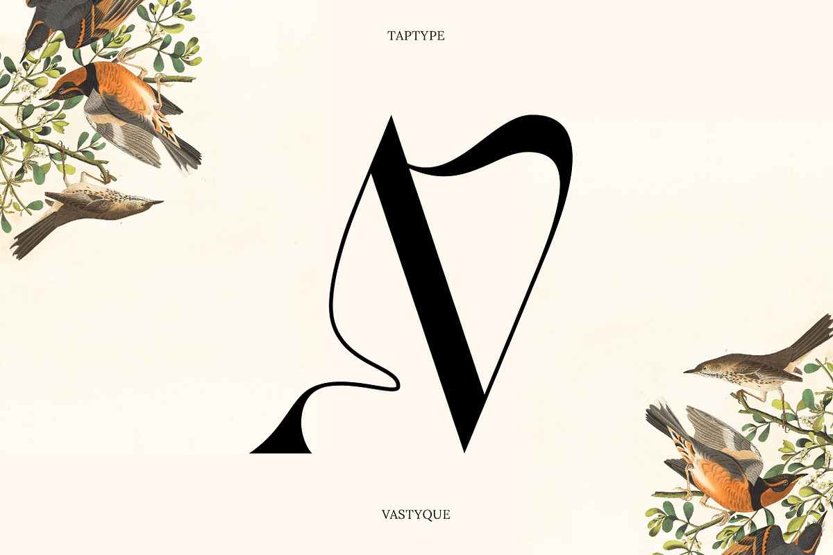 Vastyque - Modern Ligatures Serif, a Serif Font by Vesvocrea (Photo 9 of 12)