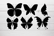 Butterfly silhouettes clipart Svg, an Object Graphic by Glass Cat Design (Thumbnail 7 of 7)