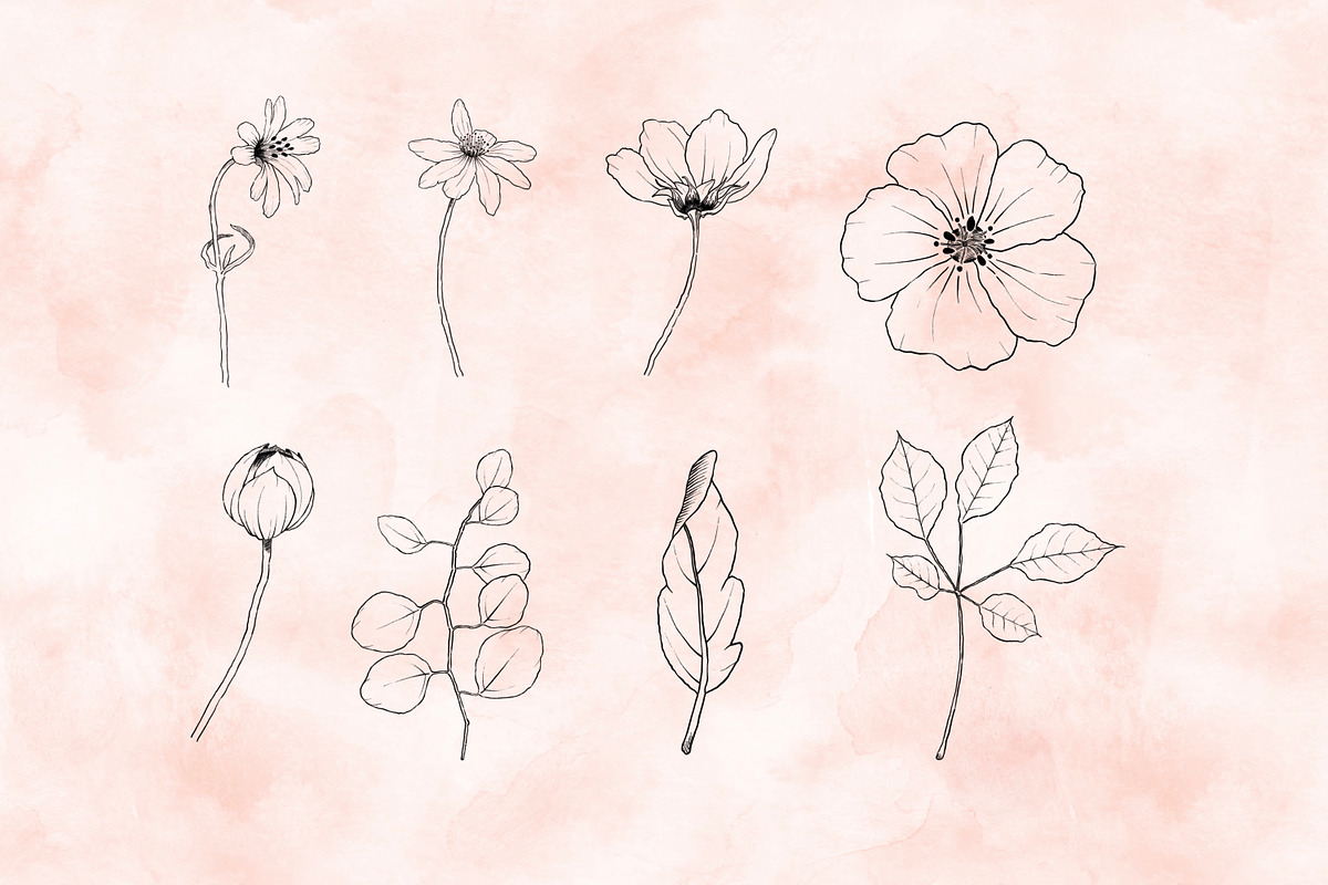 Vintage Florals Procreate Brushes, a Brush Add-On by Little Nordic Atelier (Photo 3 of 3)