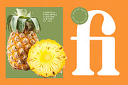 Sunday Ginger Vintage Serif, a Serif Font by timelesstype.co (Thumbnail 10 of 20)