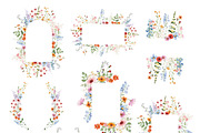 Watercolor Flower - Delicate Wild, a Decorative Illustration by Beigetime (Thumbnail 10 of 16)