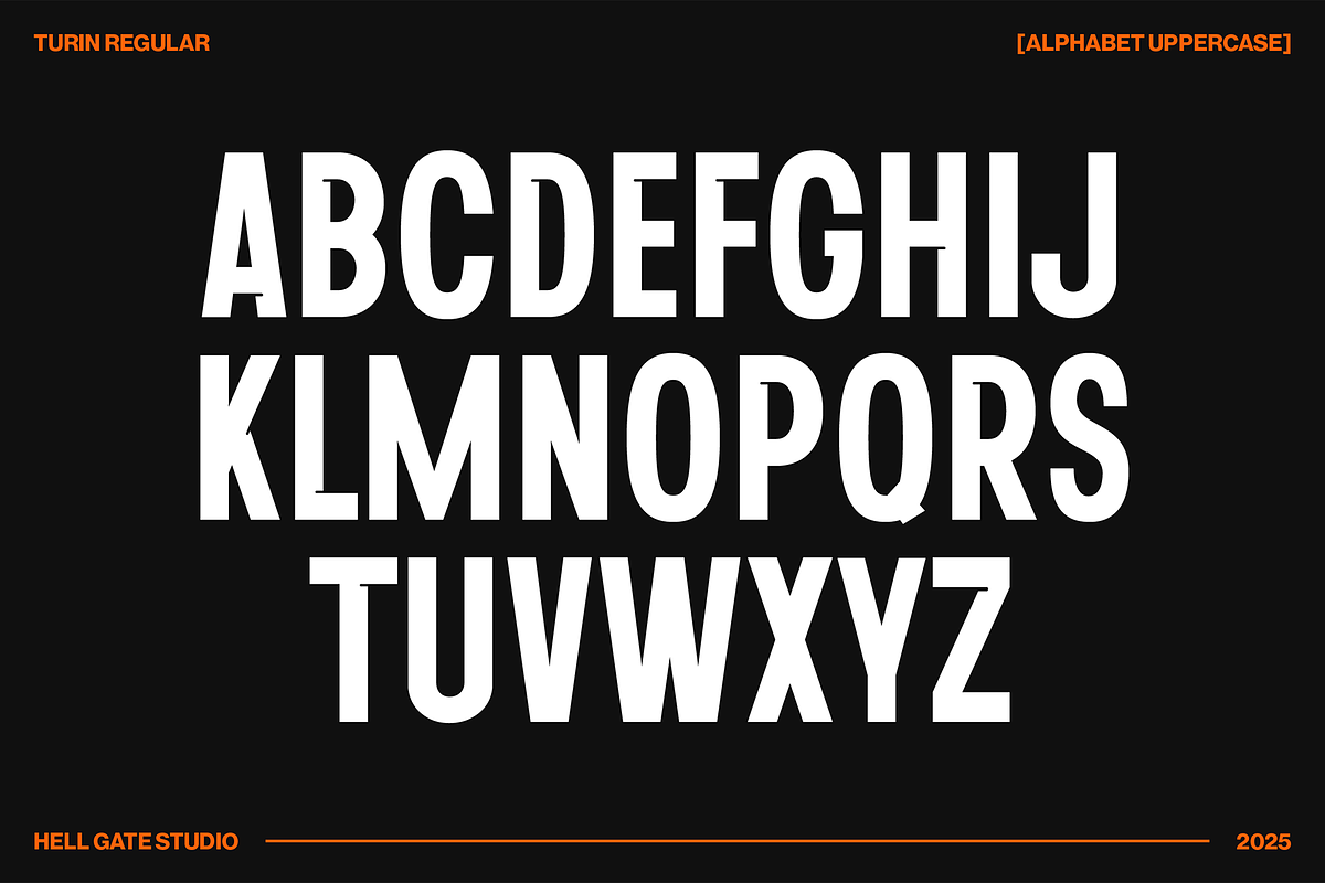 Turin Modern Sans Display, a Sans Serif Font by GRVS Studio (Photo 2 of 14)