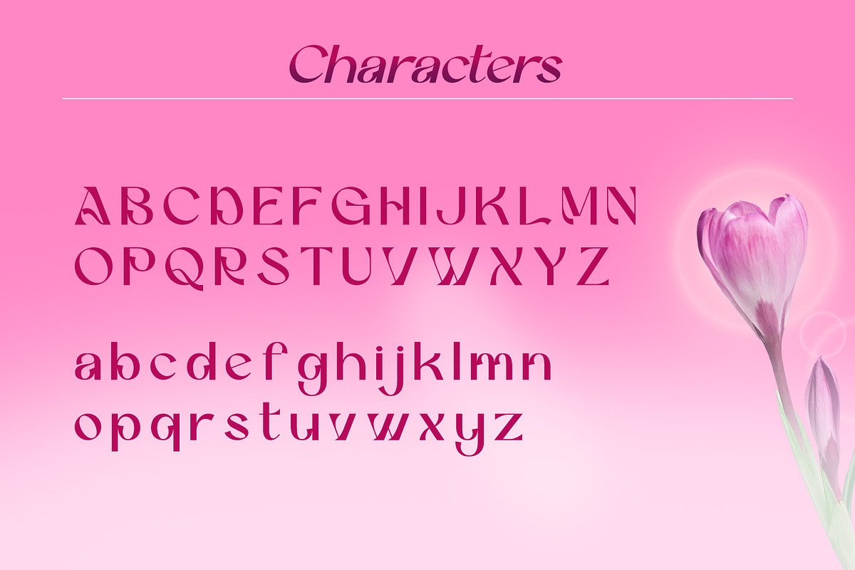 Betshaid - Stylish Display Font, a Sans Serif Font by Favo Write (Photo 7 of 12)