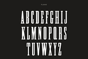Pale Horse, a Slab Serif Font by Pale Horse (Thumbnail 3 of 11)