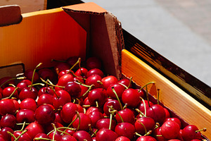 ripe cherries in a cardboard crate, a Photo by Nito