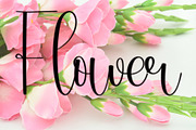 Lovely, a Handwritten Font by InermediaSTUDIO (Thumbnail 7 of 7)