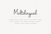 Palmetto, a Script Font by Bruised Goods (Thumbnail 12 of 12)