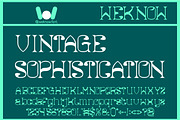 Natural Vibes font, a Serif Font by weknow (Thumbnail 5 of 8)