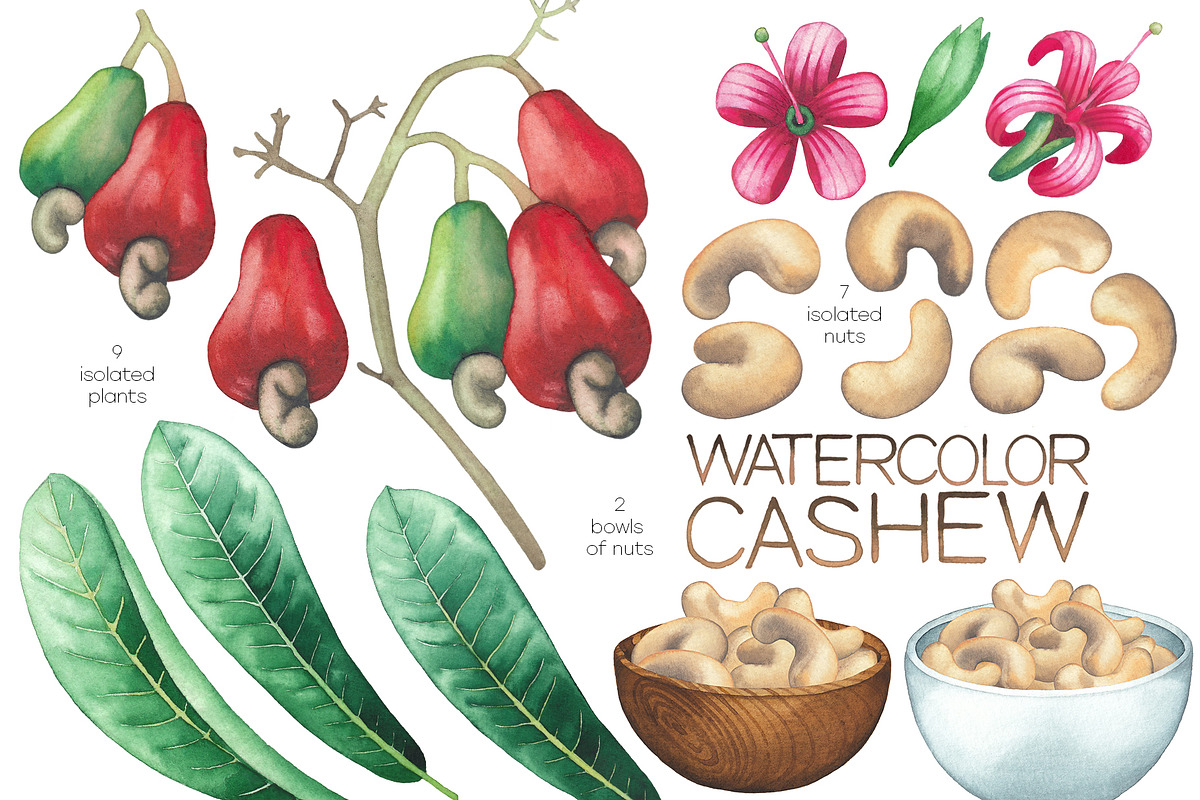 Watercolor cashew and milk, a Food Illustration by Ekaterina Glazkova (Photo 2 of 10)