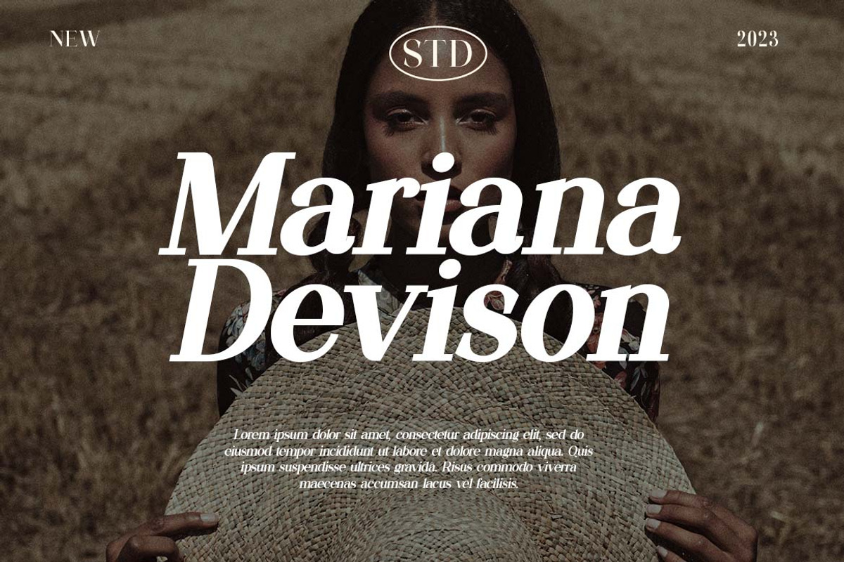 Meganfolk Elegant Serif Family, a Serif Font by UICreative (Photo 26 of 26)