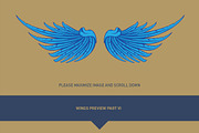 160 Pairs of Vector Wings, an Object Graphic by Damien (Thumbnail 17 of 17)