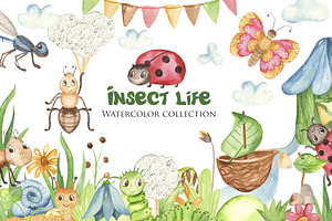 Insect Life. Watercolor Collection.