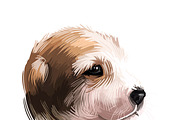 Puppies Dog Breeds Big Bundle 135Pcs, an Animal Illustration by Dneprstock (Thumbnail 4 of 68)